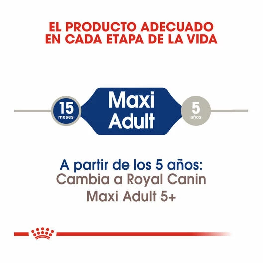 Royal Canin Maxi Adult Pienso Para Perros 18 Kg (15 Kg + 3 Kg Gratis) 6 Royal Canin Maxi Adult Pienso Para Perros 18 Kg (15 Kg + 3 Kg Gratis) - Imagen 6