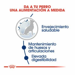 Royal Canin Maxi Ageing 8+ Pienso Para Perros 15kg -Tienda barata Tiendanimal pienso perros royal canin maxi ageing 8 ROY154170 M 4