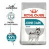 Royal Canin Joint Care Maxi Pienso Para Perros 10kg