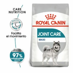 Royal Canin Joint Care Maxi Pienso Para Perros 10kg