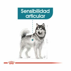 Royal Canin Joint Care Maxi Pienso Para Perros 10kg -Tienda barata Tiendanimal pienso perros royal canin maxi joint care ROY153132 M 4