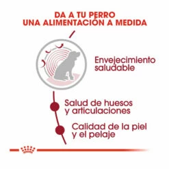 Royal Canin Medium 10+ Ageing Pienso Para Perros 15kg -Tienda barata Tiendanimal pienso perros royal canin medium ageing 10 ROY152370205