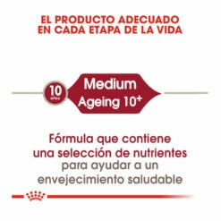 Royal Canin Medium 10+ Ageing Pienso Para Perros 15kg -Tienda barata Tiendanimal pienso perros royal canin medium ageing 10 ROY152370206