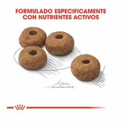 Royal Canin Sterilised Medium Pienso Para Perros 12 Kg -Tienda barata Tiendanimal pienso perros royal canin medium sterilised ROY152132 M 3