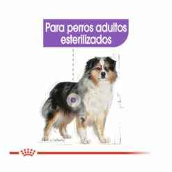 Royal Canin Sterilised Medium Pienso Para Perros 3 Kg -Tienda barata Tiendanimal pienso perros royal canin medium sterilised ROY152132 M 4 1