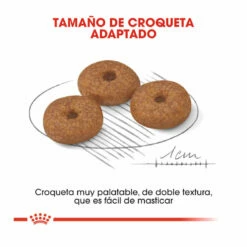 Royal Canin Mini 12+ Ageing Pienso Para Perros 3.5kg 9 Royal Canin Mini 12+ Ageing Pienso Para Perros 3.5kg -Tienda barata Tiendanimal pienso perros royal canin mini ageing 12 ROY151038 M204