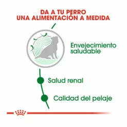 Royal Canin Mini 12+ Ageing Pienso Para Perros 3.5kg 10 Royal Canin Mini 12+ Ageing Pienso Para Perros 3.5kg -Tienda barata Tiendanimal pienso perros royal canin mini ageing 12 ROY151038 M205