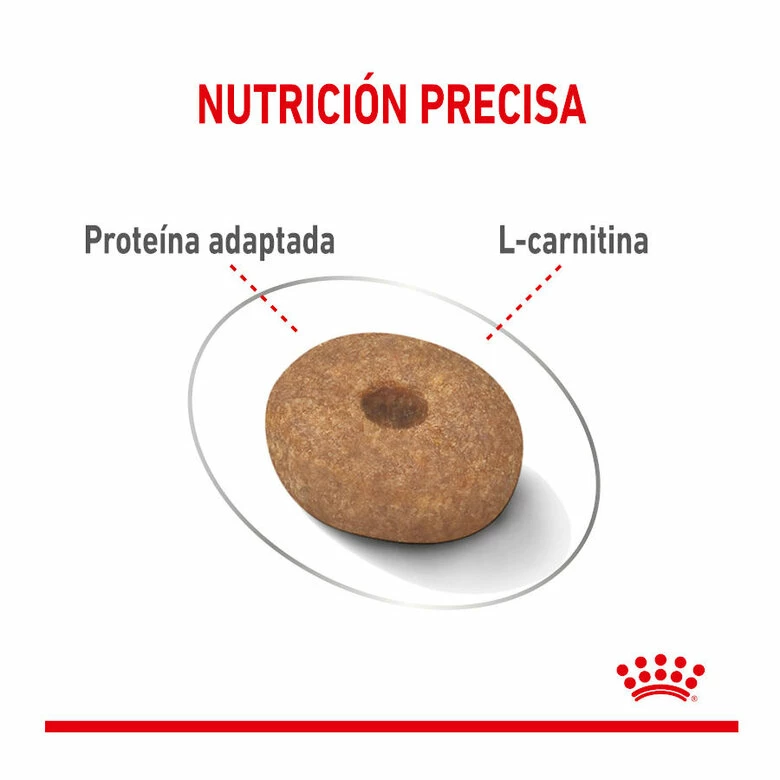 Royal Canin Mini Light Weight Care Pienso Para Perros 1kg 4 Royal Canin Mini Light Weight Care Pienso Para Perros 1kg - Imagen 4