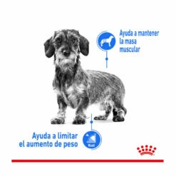 Royal Canin Mini Light Weight Care Pienso Para Perros 1kg 11 Royal Canin Mini Light Weight Care Pienso Para Perros 1kg -Tienda barata Tiendanimal pienso perros royal canin mini light weight care ROY150931 M205