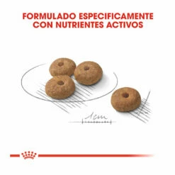 Royal Canin Sterilised Mini Pienso Para Perros 3kg 9 Royal Canin Sterilised Mini Pienso Para Perros 3kg -Tienda barata Tiendanimal pienso perros royal canin mini sterilised ROY151430 M 2