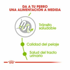 Royal Canin X-Small Adult Pienso Para Perros 1,5kg -Tienda barata Tiendanimal pienso perros royal canin mini x small medium ROY150136 M205 1