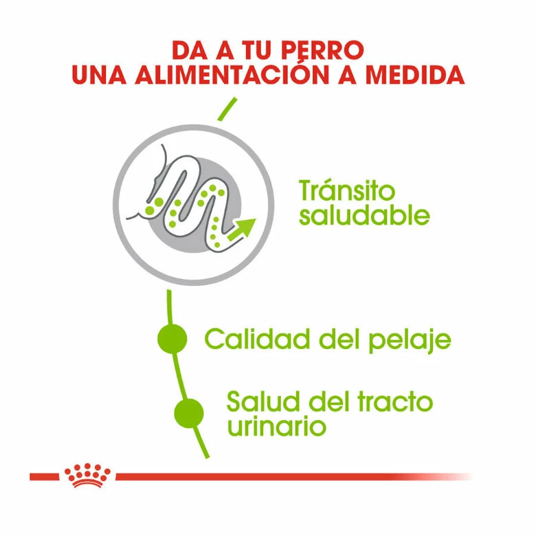 Royal Canin X-Small Adult Pienso Para Perros 3kg 5 Royal Canin X-Small Adult Pienso Para Perros 3kg - Imagen 5