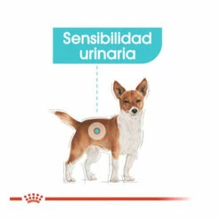Royal Canin Urinary Care Mini Pienso Para Perros 3kg -Tienda barata Tiendanimal royal canin urinary care mini pienso para perros ROY1261400 6